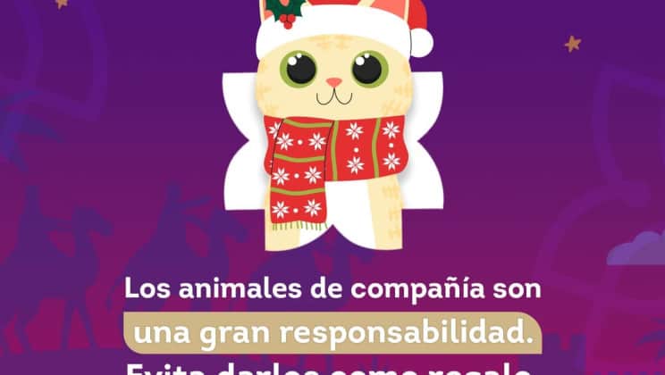 PIDEN A REYES MAGOS EVITAR REGALAR ANIMALES DE COMPAÑÍA