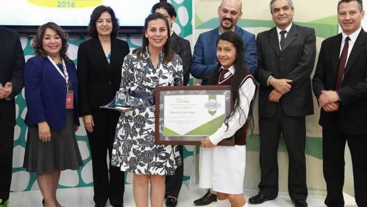 COMPROMISO, PASIÓN Y AMOR POR LA DOCENCIA CARACTERÍSTICAS DE DIANA ISIS FLORES