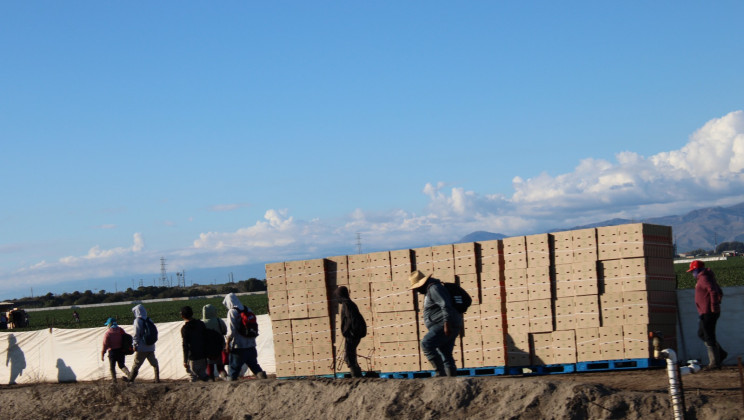 MIGRANTES TLAXCALTECAS PUEDEN AFILIARSE AL IMSS Y GOZAR DE SERVICIOS DE SALUD Y SEGURIDAD SOCIAL