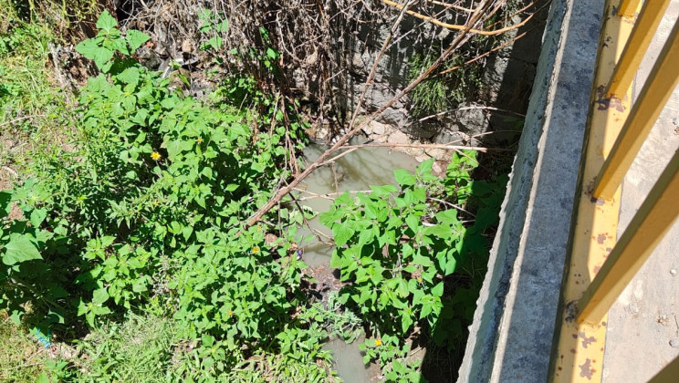 Abuso de poder, influyentismo y corrupción por parte de la familia Sánchez García