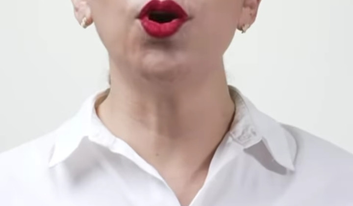 Adriana Dávila busca dirigir al PAN Nacional