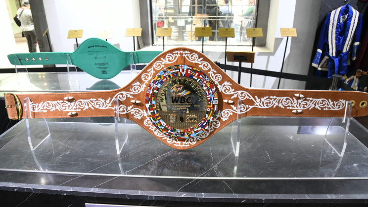 EXPOSICIÓN «VERDE Y ORO» EN EL MUSEO DE LA MEMORIA GENERA INTERÉS Y EXPECTACIÓN