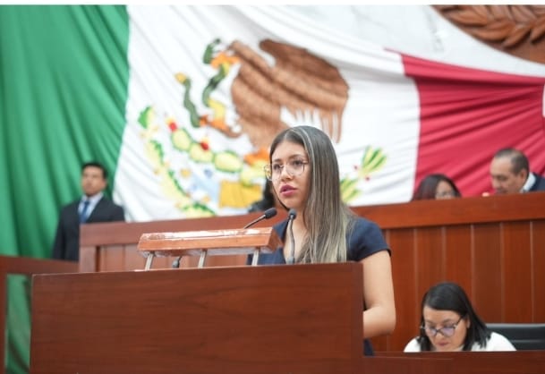 Propone diputada Anel Martínez exhortar a los Ayuntamientos para sustituir uso de pirotecnia por acciones lúdicas en festividades