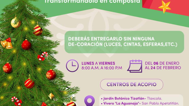 *INICIA SMA CAMPAÑA DE ACOPIO “RECICLA TU ÁRBOL DE NAVIDAD”*