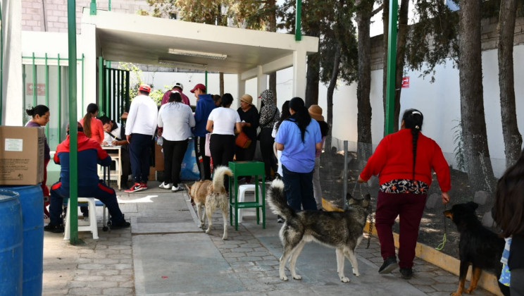 JORNADA DE VACUNACIÓN ANTIRRÁBICA CANINA Y FELINA REGISTRA ALTA PARTICIPACIÓN EN TLAXCALA