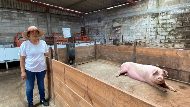 FORTALECE FOMTLAX AL SECTOR GANADERO CON CRÉDITOS ACCESIBLES