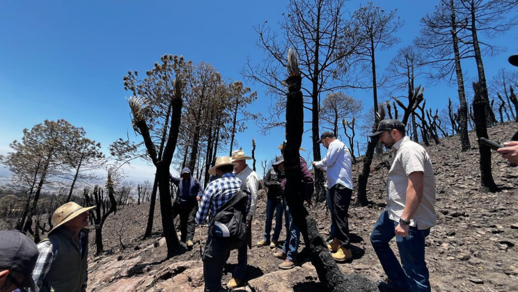 OBTIENEN INFORMACIÓN POSITIVA PARA REFORESTACIÓN TRAS RECORRIDO POR ATLTZAYANCA