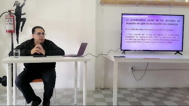 Caso omiso de diputados por reformar Ley de Bienestar Animal