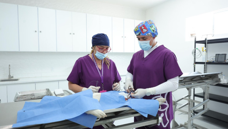 ABRE SUS PUERTAS LA PRIMERA CLÍNICA DE BIENESTAR ANIMAL EN TLAXCALA; OFRECERÁ SERVICIOS DE VETERINARIA INTEGRAL