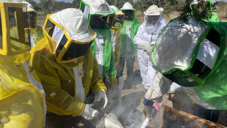 SIA FORTALECE CONDICIONES DE COLMENAS PARA COSECHA DE MIEL EN TLAXCO