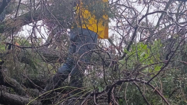 LA CEPC REALIZA EVALUACIÓN DE DAÑOS Y ACCIONES DE ATENCIÓN TRAS EL PASO DEL HURACÁN ERICK