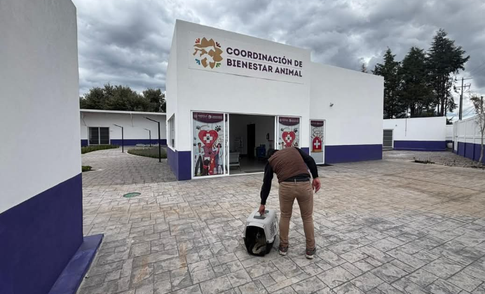 PROPAET RESCATA A CANINA EN SITUACIÓN CRÍTICA, TRAS DENUNCIA CIUDADANA