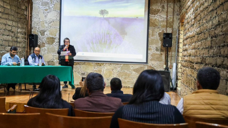 CRONISTAS EXPLORAN EL PASADO DE TERRENATE EN EL SIGLO XVI