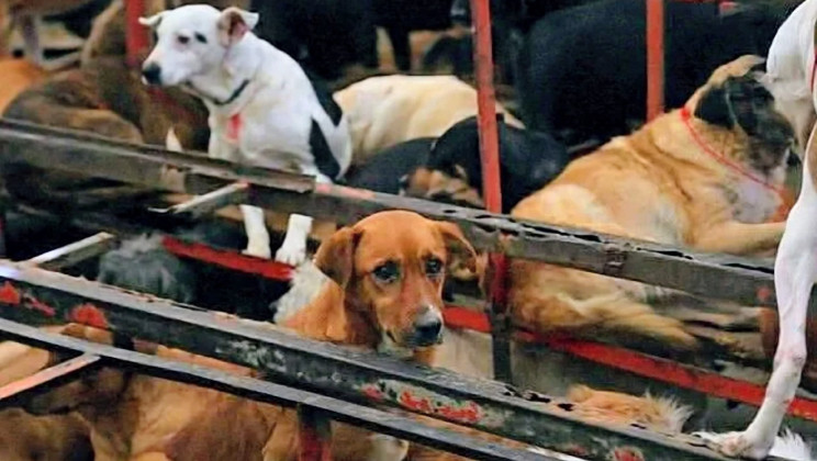 ¿PODRÍA TLAXCALA ENFRENTAR UNA CRISIS COMO LA DEL REFUGIO FRANCISCANO?