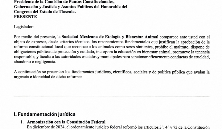 CONGELADA LA REFORMA CONSTITUCIONAL PARA RECONOCER A LOS ANIMALES COMO SERES SINTIENTES EN TLAXCALA