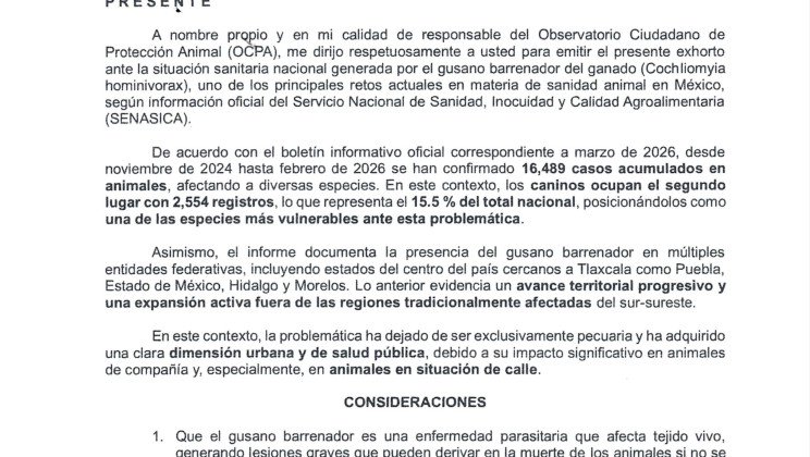EXHORTAN A AUTORIDADES DE TLAXCALA A PREPARARSE ANTE RIESGO DE GUSANO BARRENADOR EN ANIMALES DE COMPAÑÍA Y EN SITUACIÓN DE CALLE