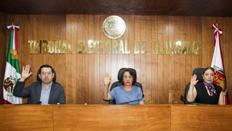 No compete al TET conocer de asunto de organización municipal interna